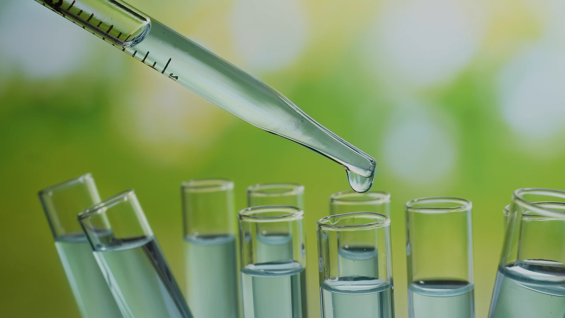 Lifescience & Digital