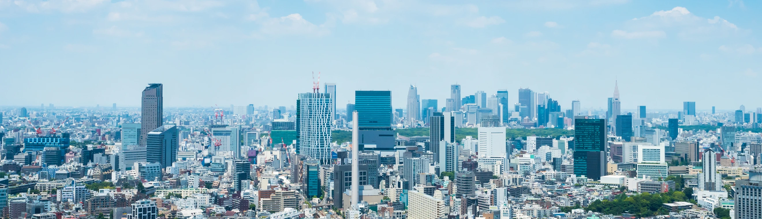 Corporate Information