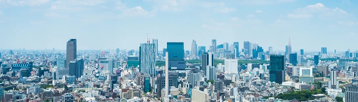 Corporate Information